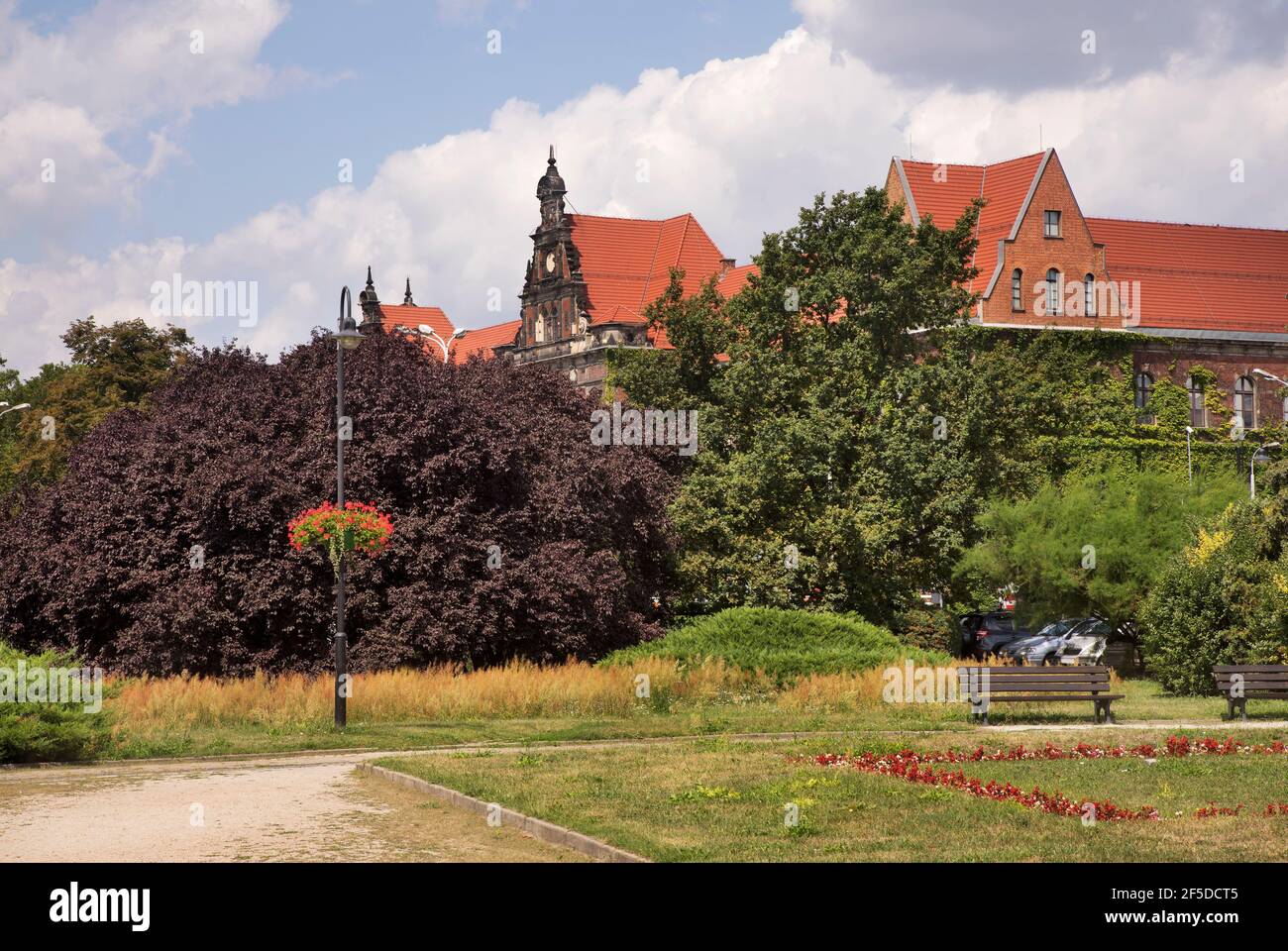 Musée national de Wroclaw. Pologne Banque D'Images
