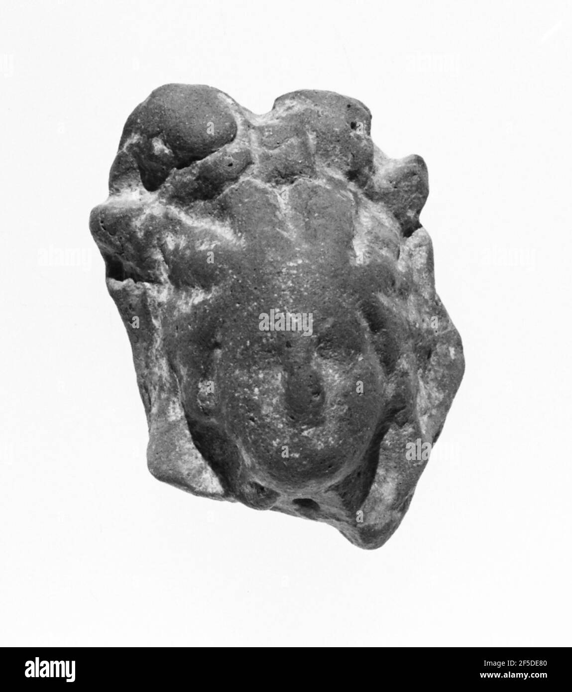 Tête femelle. Inconnu Banque D'Images