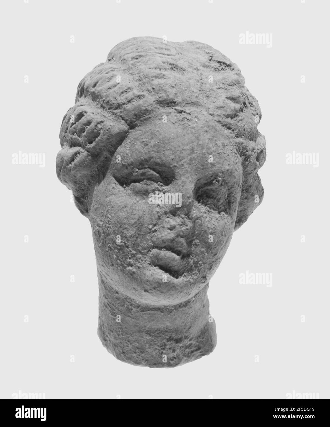 Tête femelle avec Melon Coiffeur. Inconnu Banque D'Images