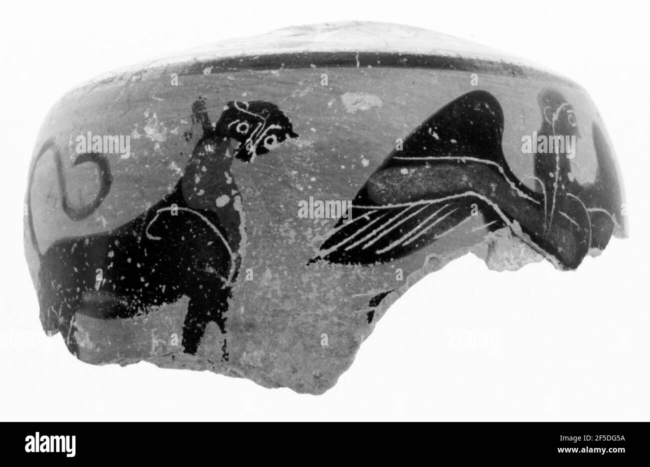 Grenier Black-Figure Lekythos fragment. Inconnu Banque D'Images