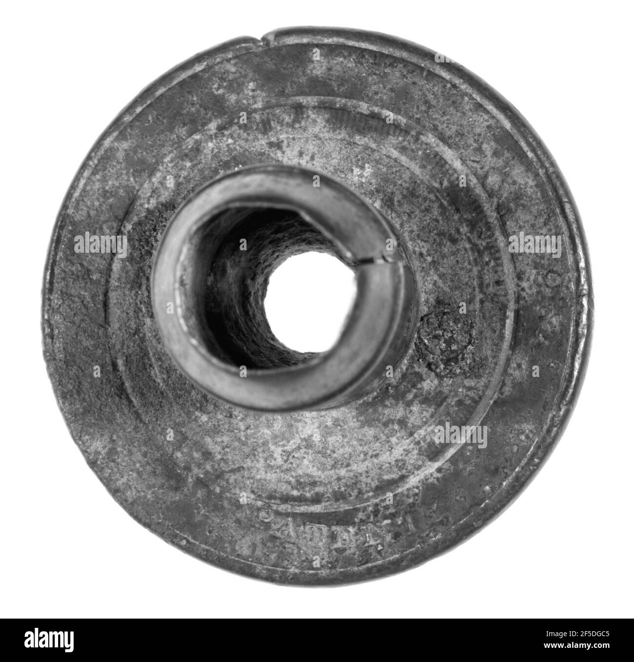 Buse. Inconnu Banque D'Images