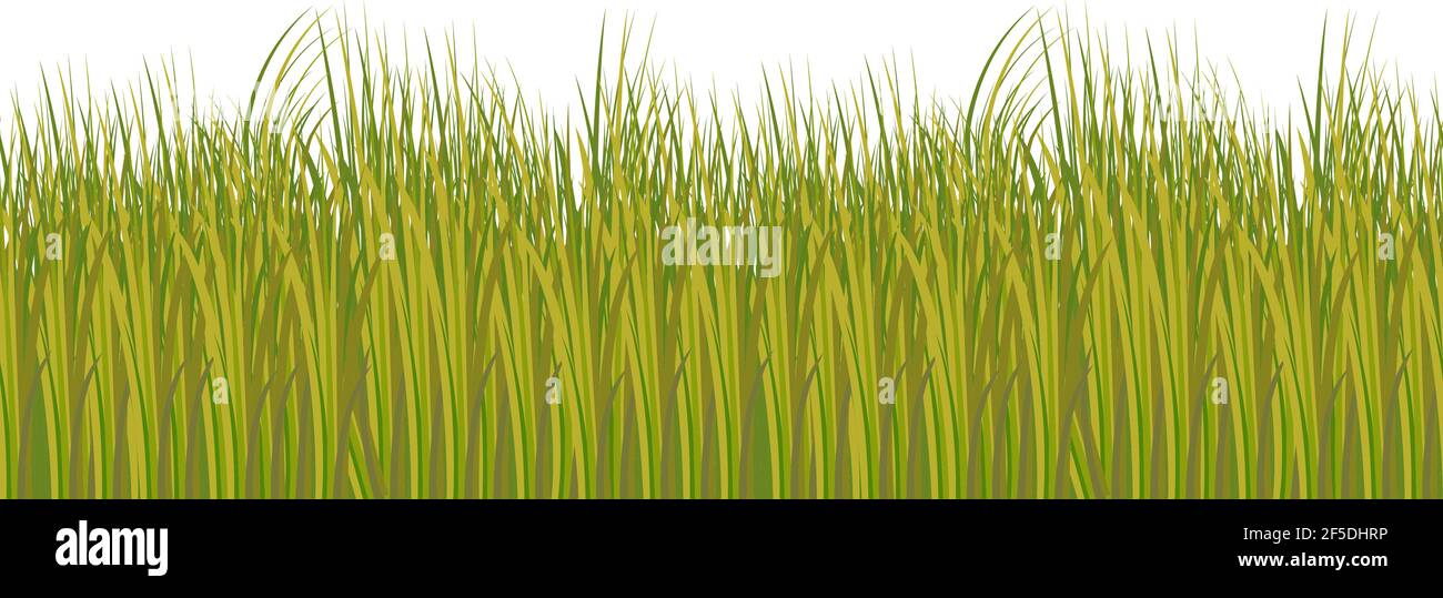 Silhouette d'herbe vert-jaune sans couture dans le style savane, props d'illustration vector eps10 pour l'animation et la décoration Illustration de Vecteur
