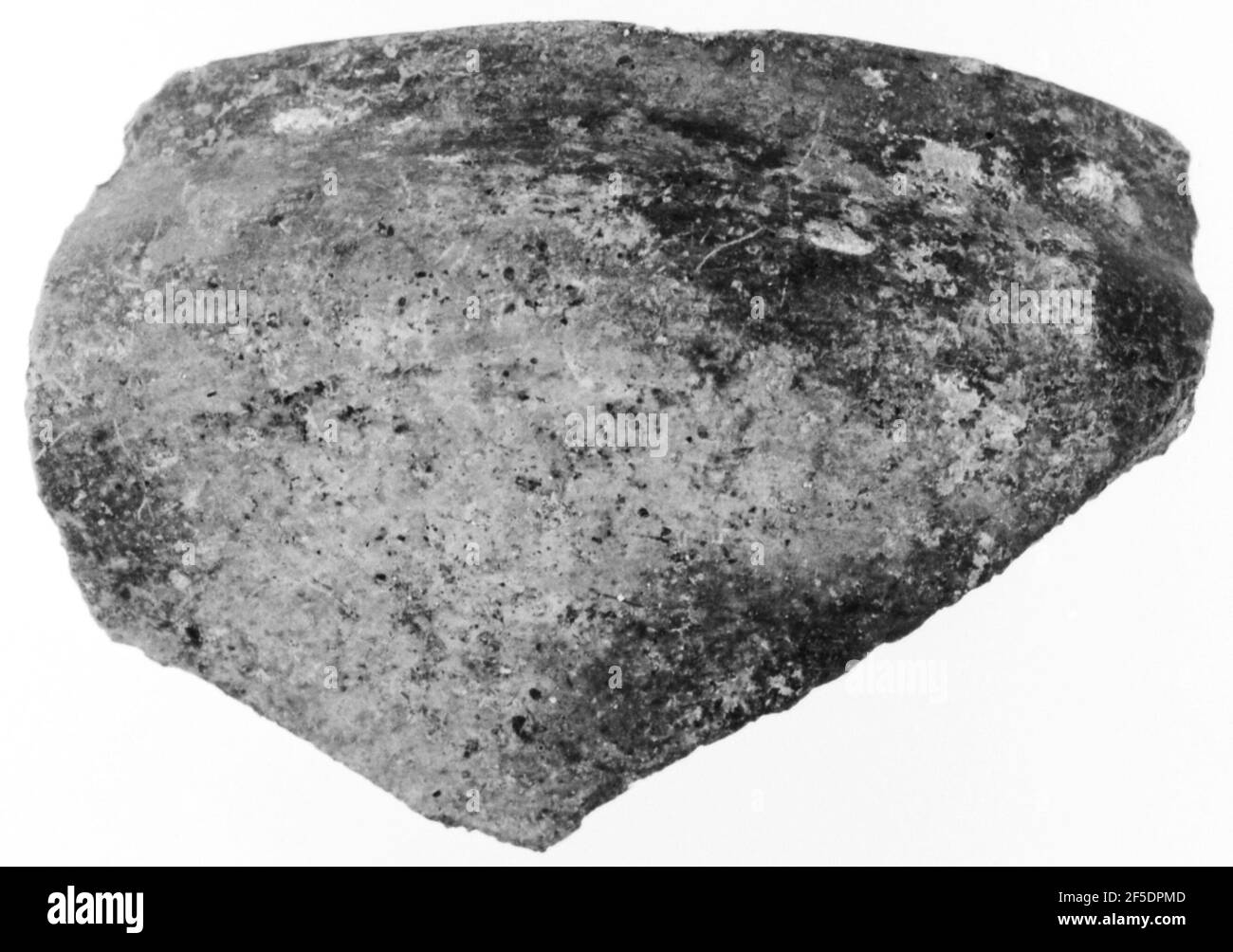 Fragment d'un petit bol. Inconnu Banque D'Images