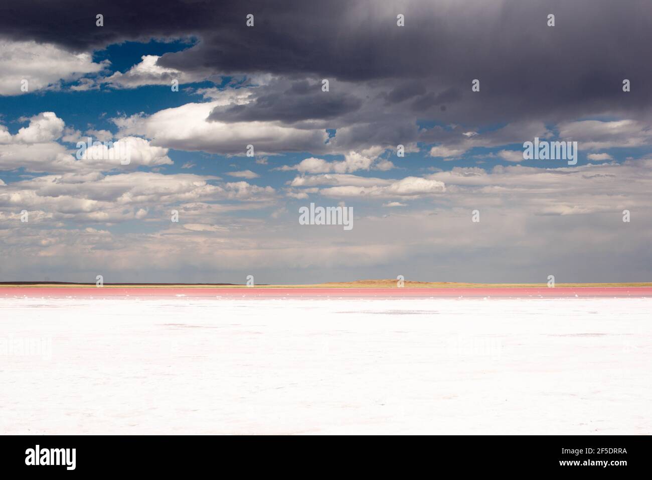 lac de sel blanc avec rivage rose et nuages dans le ciel Banque D'Images