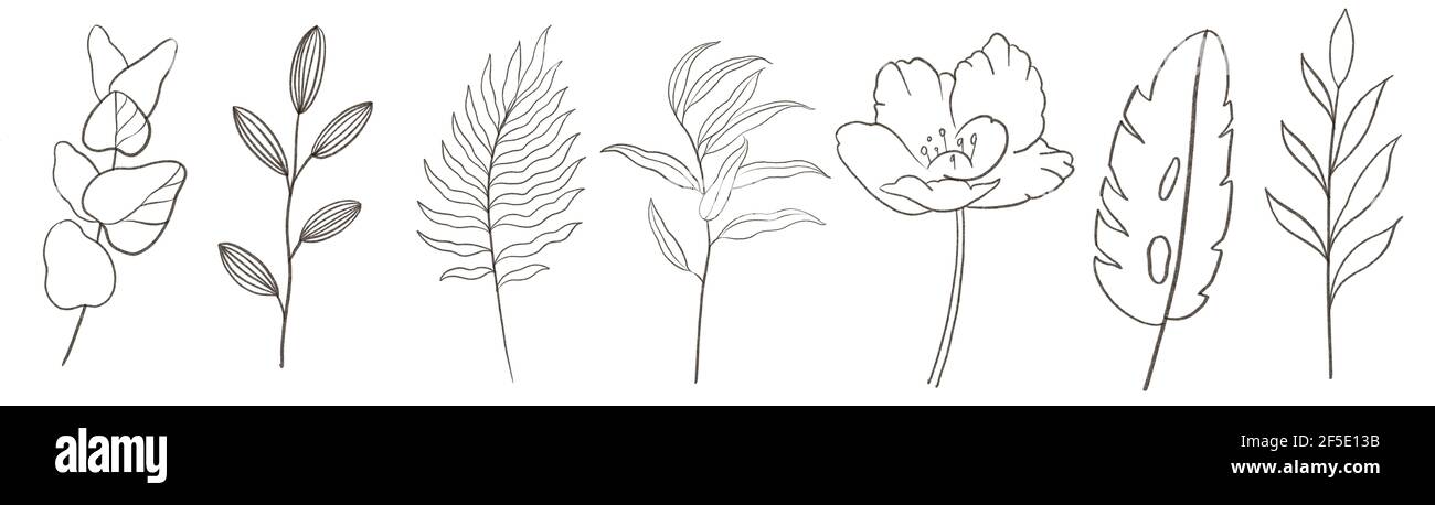 Ensemble graphique tendance avec élégant groupe contemporain d'œuvres d'art florales minimalistes Banque D'Images