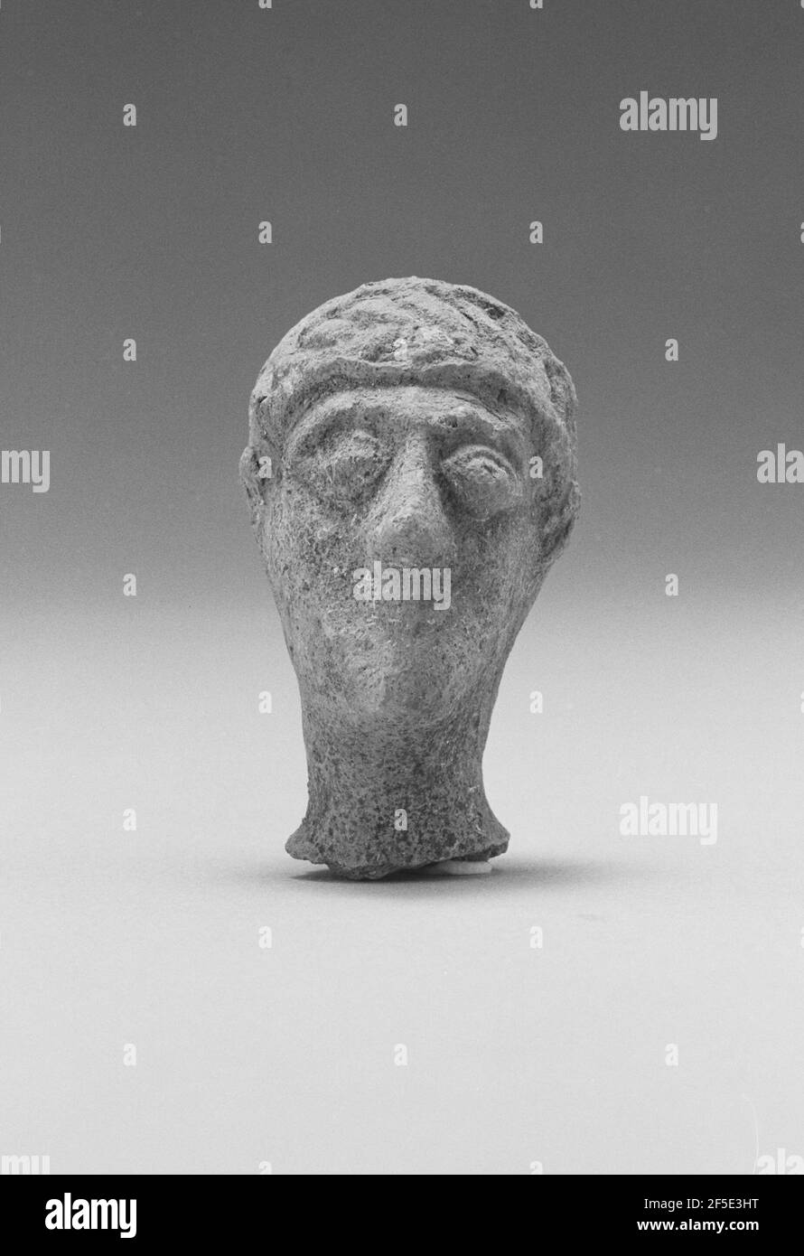 Male anatomy Banque d'images noir et blanc - Alamy