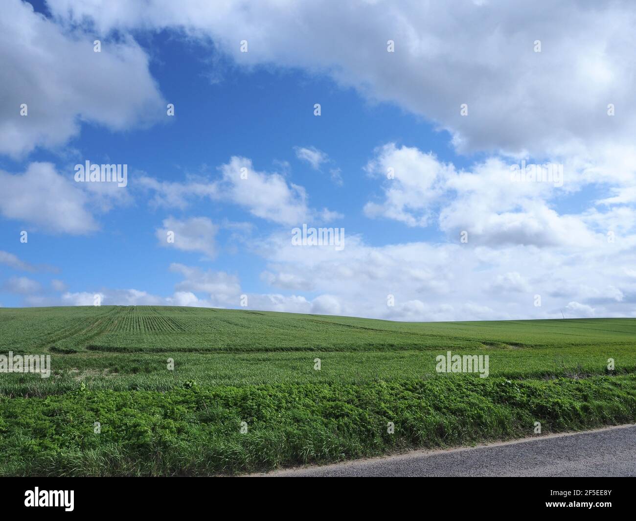 Windows xp bureau Banque de photographies et d'images à haute résolution -  Alamy