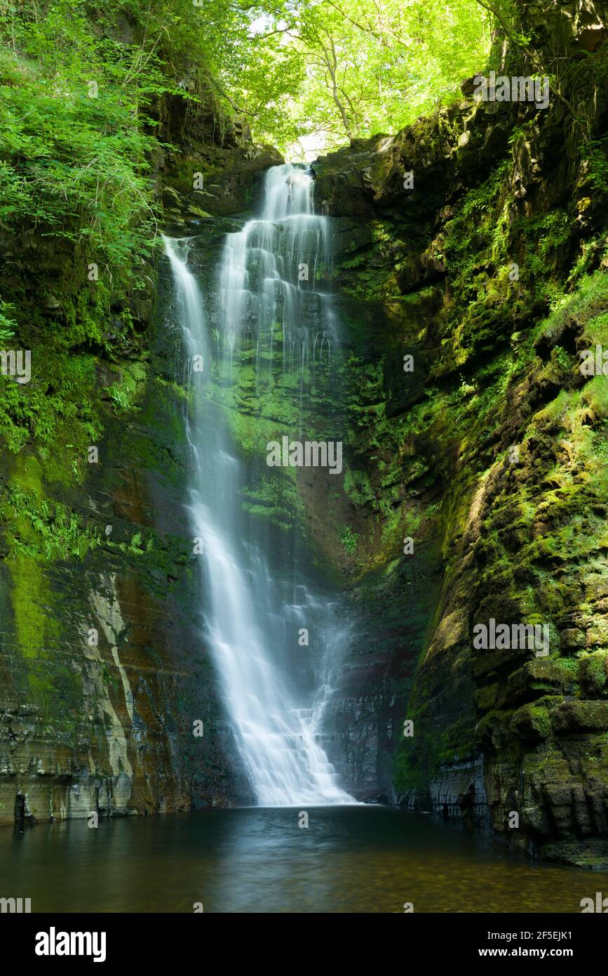 La cascade Sgwd Einion Gam sur la rivière Pyrddin dans le parc national de Bannau Brycheiniog (Brecon Beacons), Powys, pays de Galles. Banque D'Images