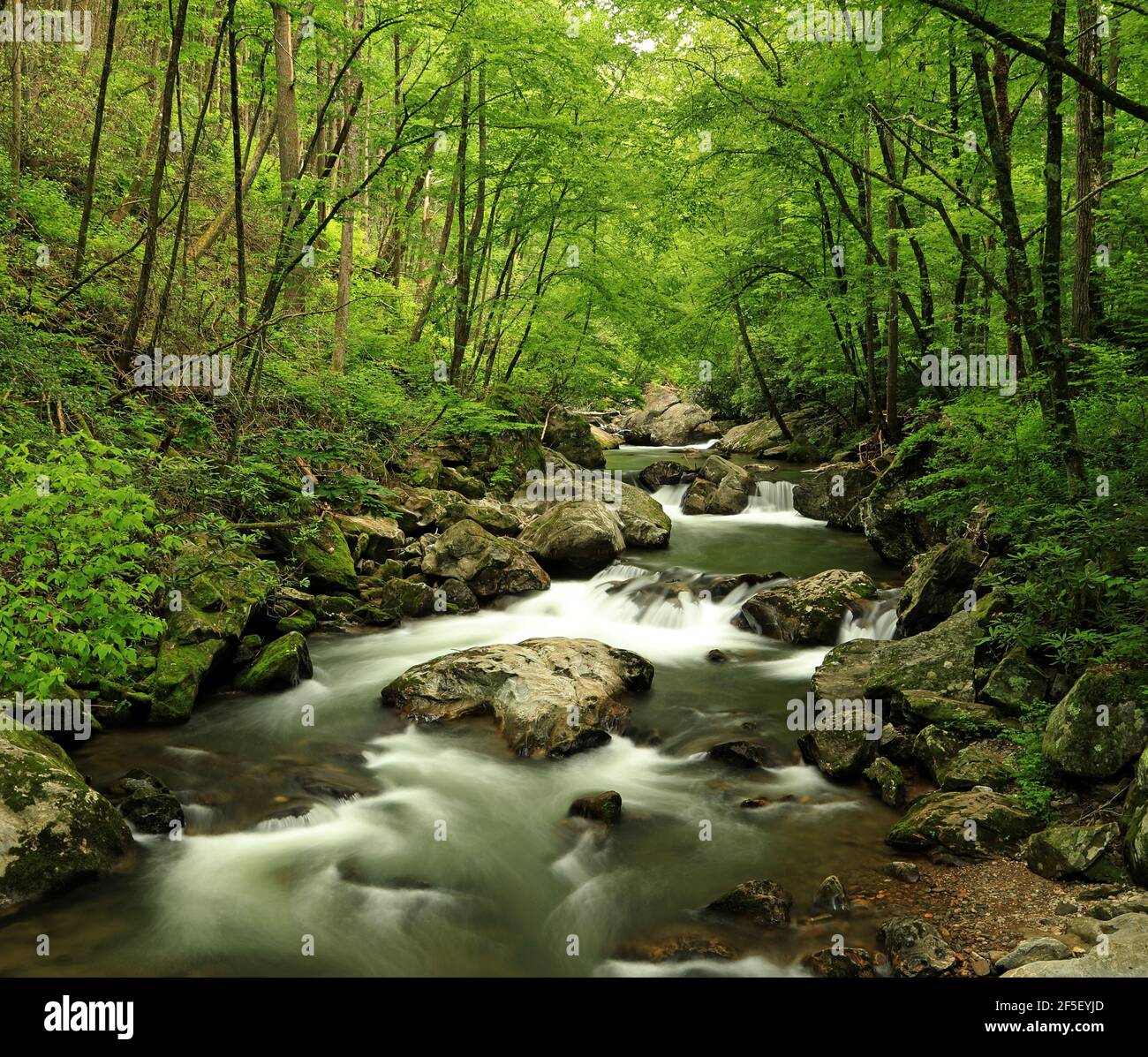 La rivière Tallulah est une rivière de 48 milles de long commençant dans le comté de Clay, en Caroline du Nord et traversant les comtés de Towns, Rabun et Habersham, dans le nord de la Géorgie Banque D'Images