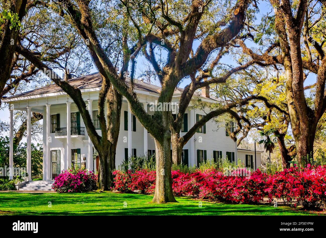 Les azalées fleurissent à la résidence Bragg-Mitchell, le 21 mars 2021, à Mobile, Alabama. Le manoir grec d'avant-guerre de 1855 est une attraction populaire. Banque D'Images