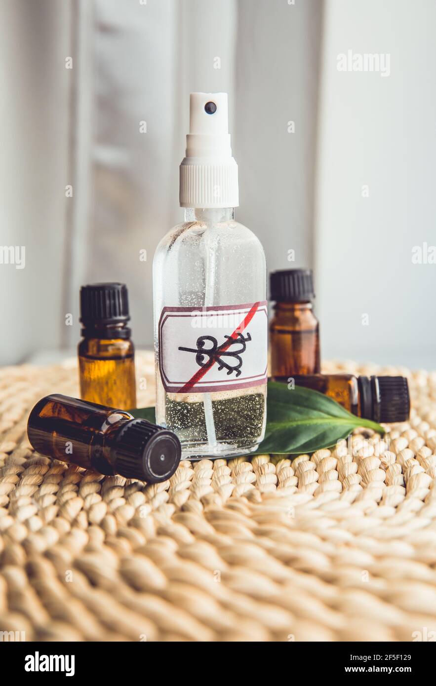 Produit anti-moustiques à base d'huile maison. Vue à plat de la bouteille vaporisée entourée de bouteilles d'huile essentielle marron sur fond de tapis de bambou. Banque D'Images