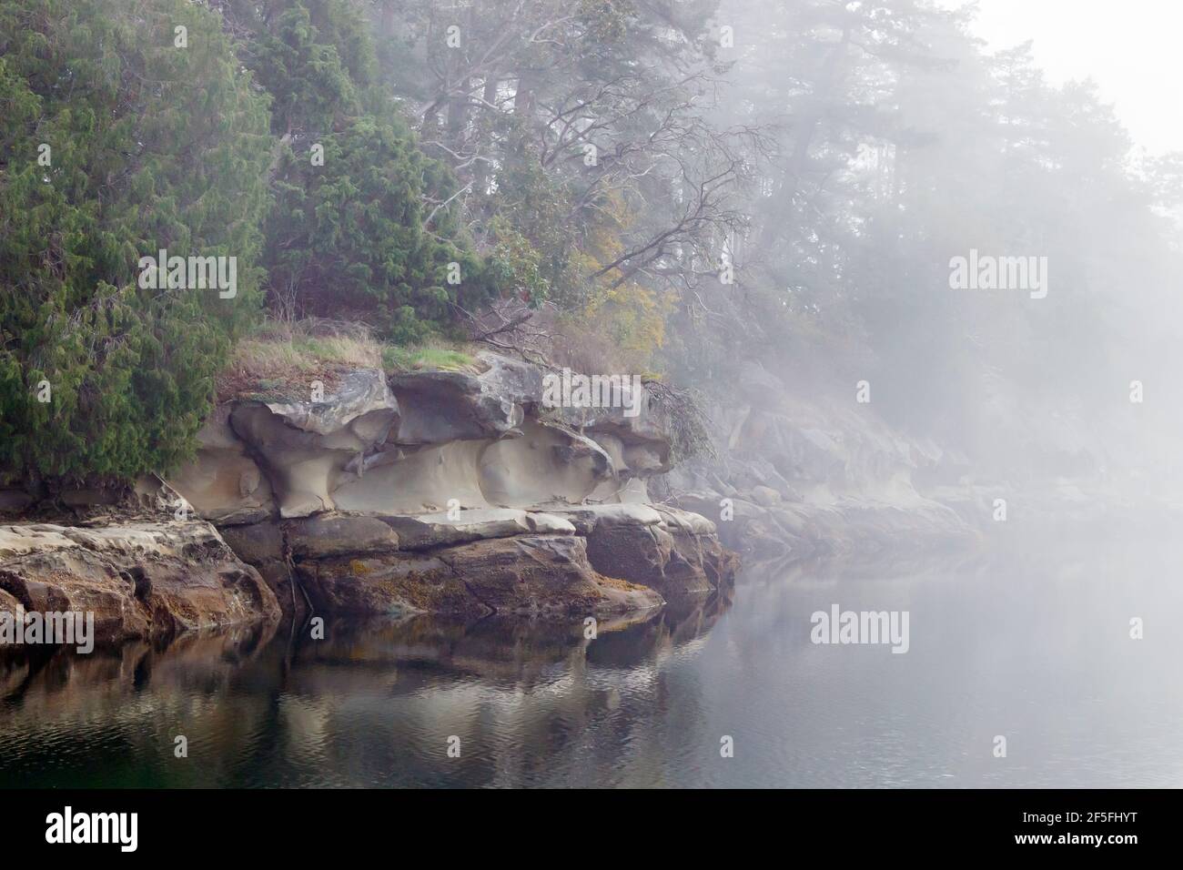 Le brouillard couvre un rivage en grès, ce qui donne un air de mystère à mesure que les détails de la roche et des arbres au loin sont obscurcis (octobre, Colombie-Britannique). Banque D'Images
