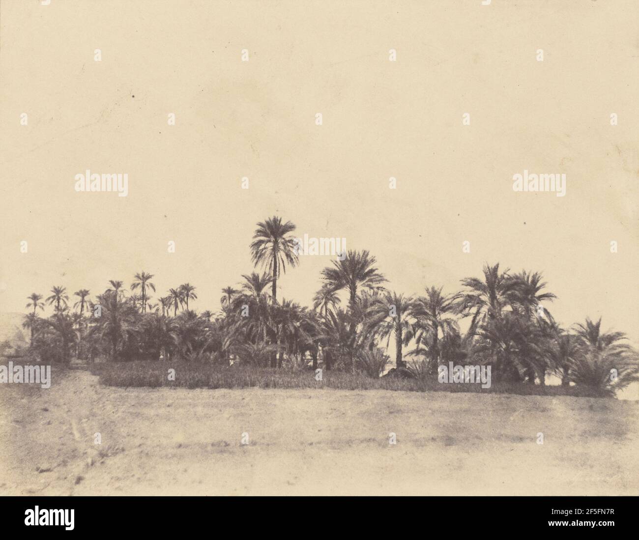 Etude de niveaux de données. John Beasley Greene (américain, né en France, 1832 - 1856) Banque D'Images