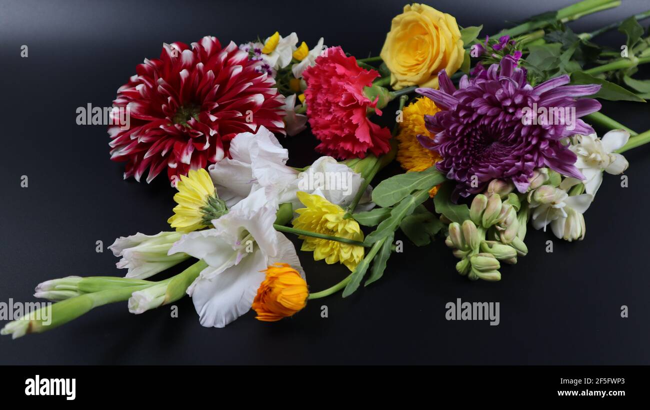 Bouquet de fleurs naturelles isolées sur fond sombre, belles fleurs colorées Banque D'Images