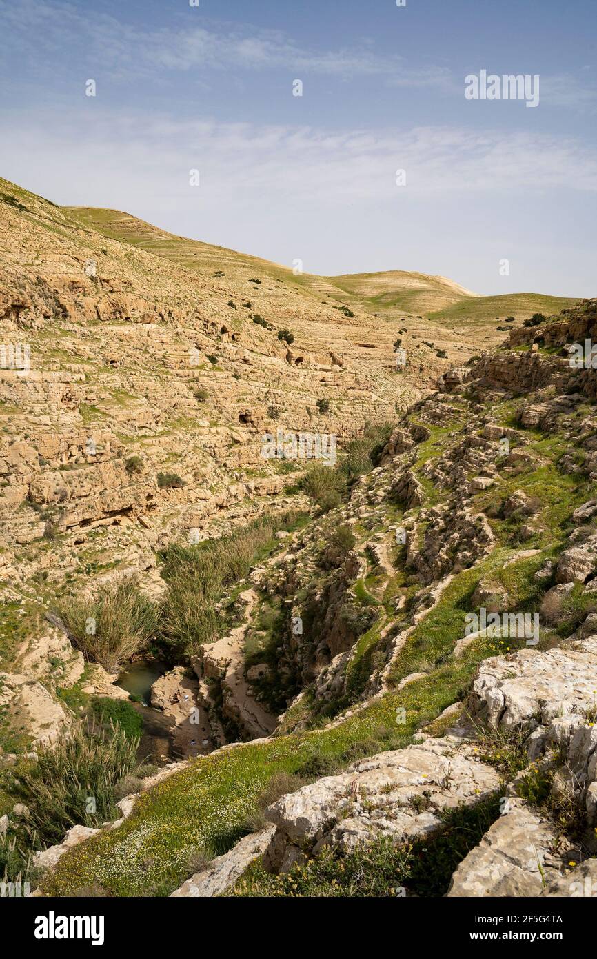 Vue panoramique sur le ruisseau Prat, au bord du désert de Judée, Israël, au printemps. Banque D'Images