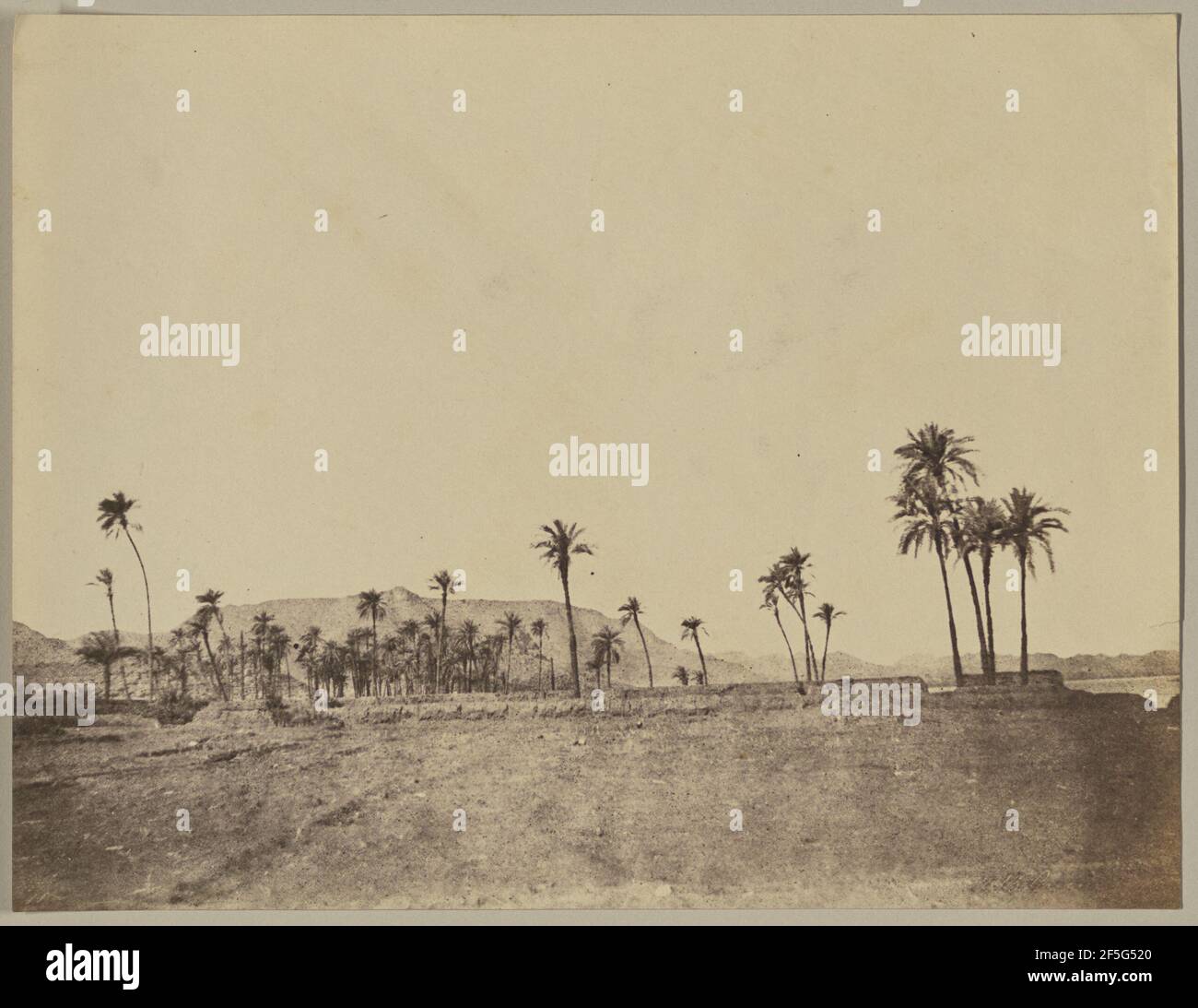 Etude de niveaux de données. John Beasley Greene (américain, né en France, 1832 - 1856) Banque D'Images