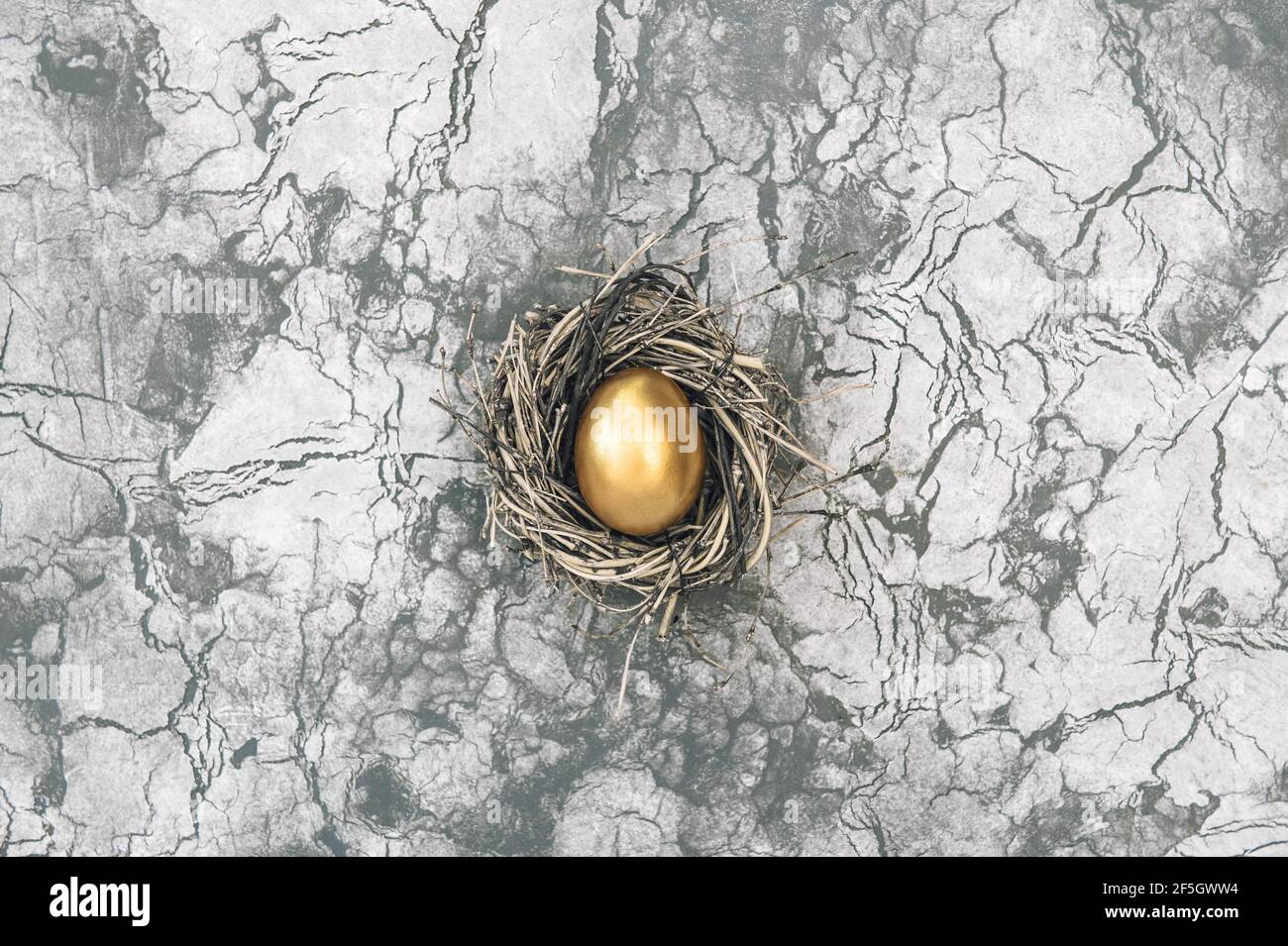 Concept de Pâques. L'œuf de pâques doré dans les oiseaux nichent sur fond de pierre en béton Banque D'Images