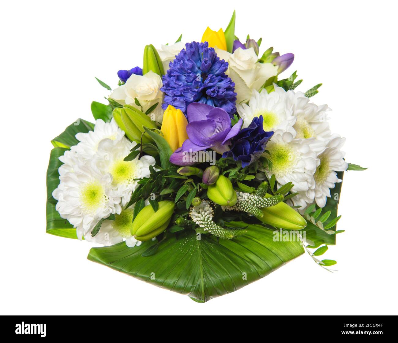 Bouquet de fleurs de printemps. Roses, tulipes, jacinthe sur fond blanc Banque D'Images