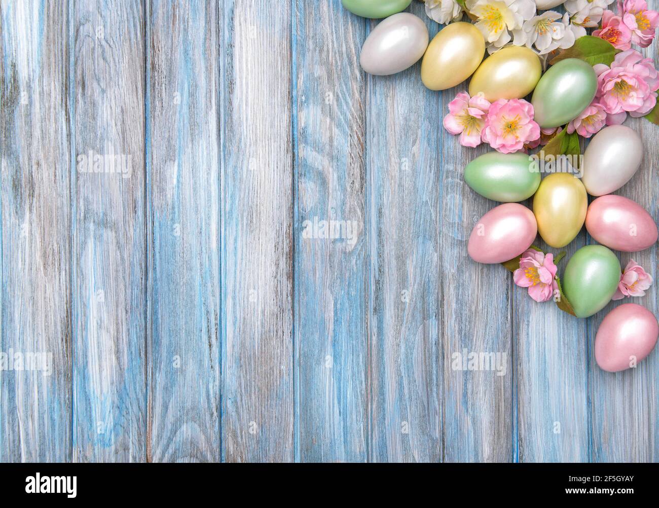 Arrière-plan de Pâques. Œufs colorés aux fleurs de printemps roses Banque D'Images