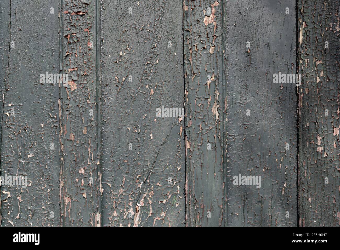 Texture d'arrière-plan de peinture écaillée vert foncé. Porte en bois avec peinture écaillée Banque D'Images Texture d'arrière-plan de peinture écaillée vert foncé. Porte en bois avec peinture écaillée Banque D'Images
