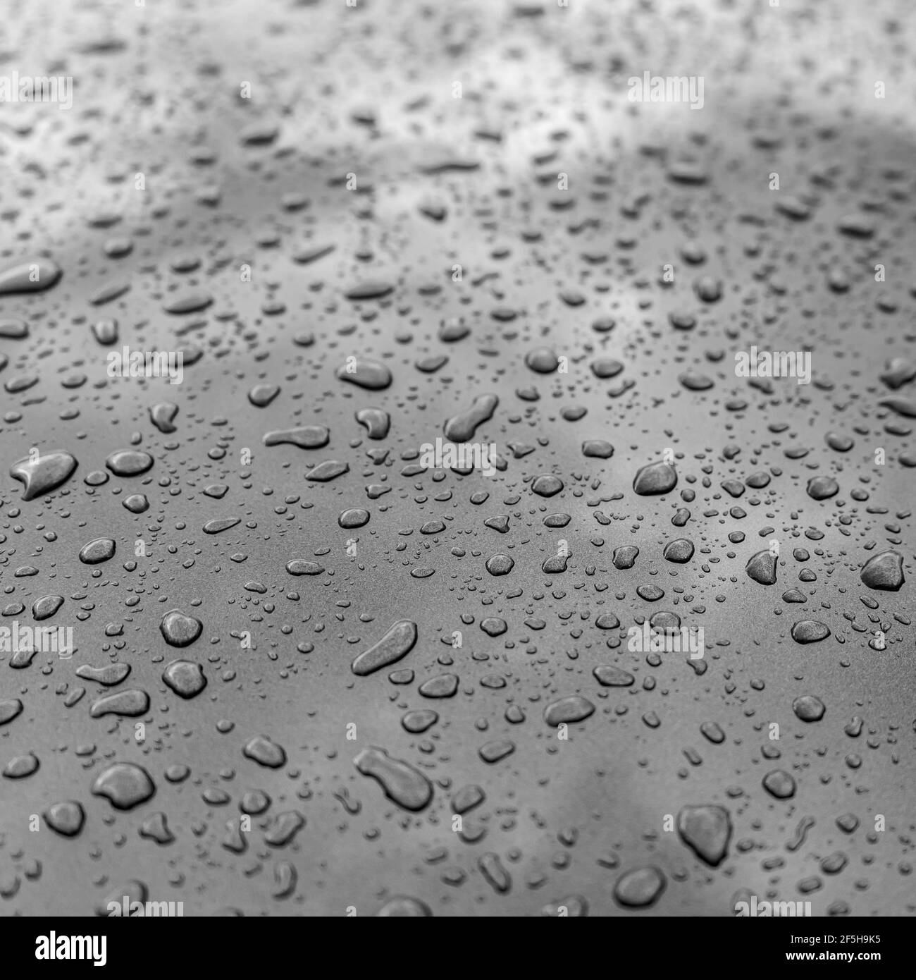 Gouttes d'eau sur la surface de la voiture Banque D'Images