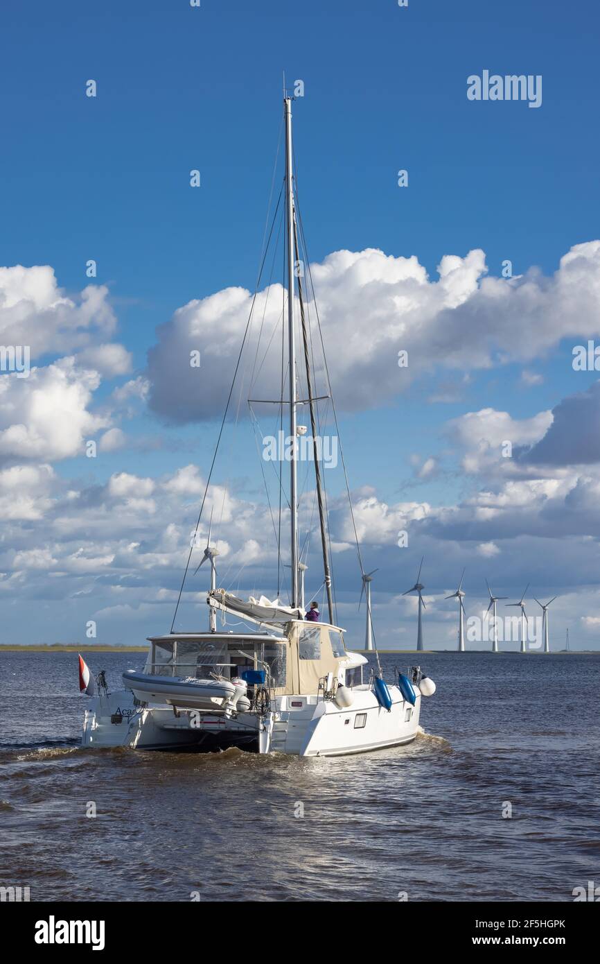 Bateau à voile à la mer hollandaise Ijsselmeer près de la côte avec des éoliennes Banque D'Images