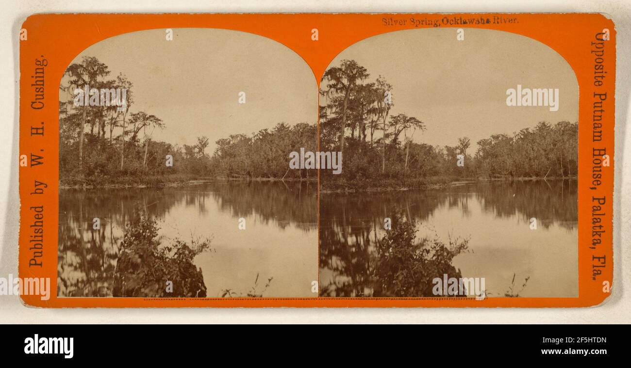 Silver Spring, rivière Ocklakaha.. W.H. Cushing (américain, actif des années 1870 à 1880) Banque D'Images
