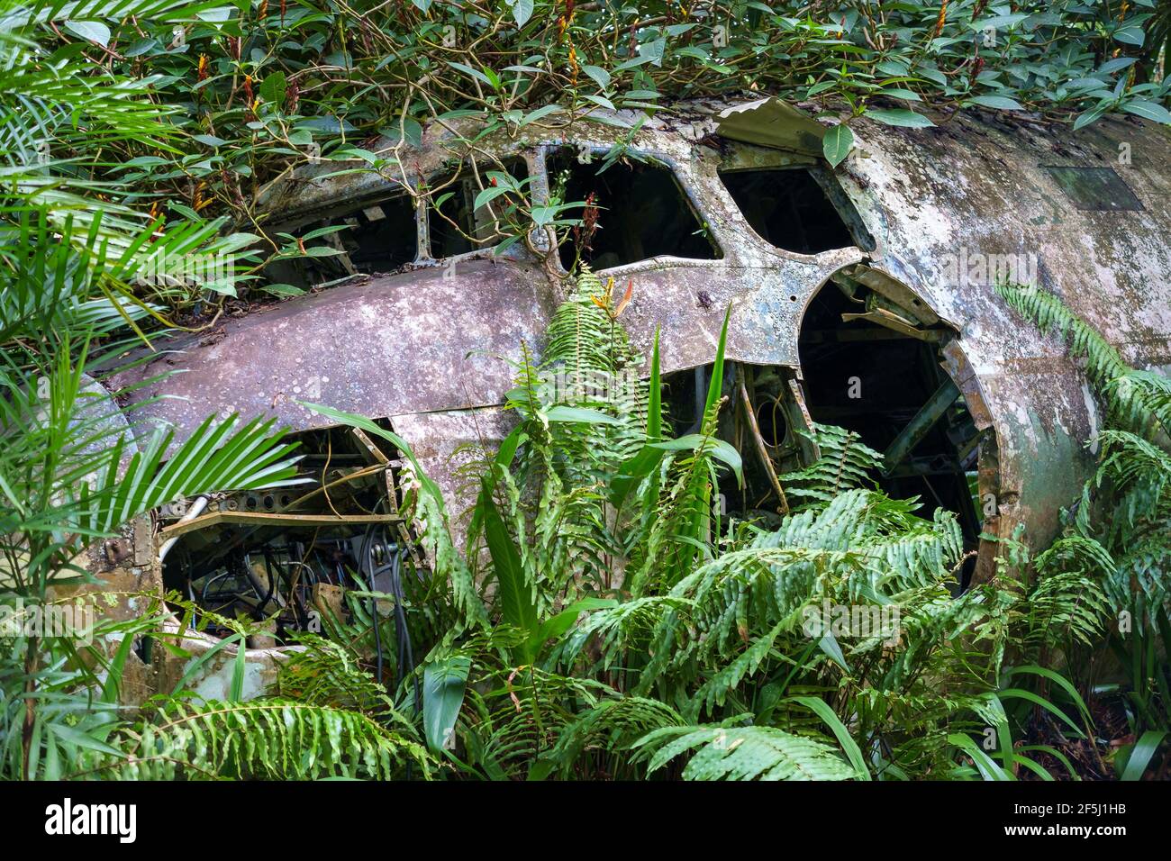 Sur les marchés de la forêt tropicale d'origine de Kuranda: C-47 Dakota Aircraft Banque D'Images