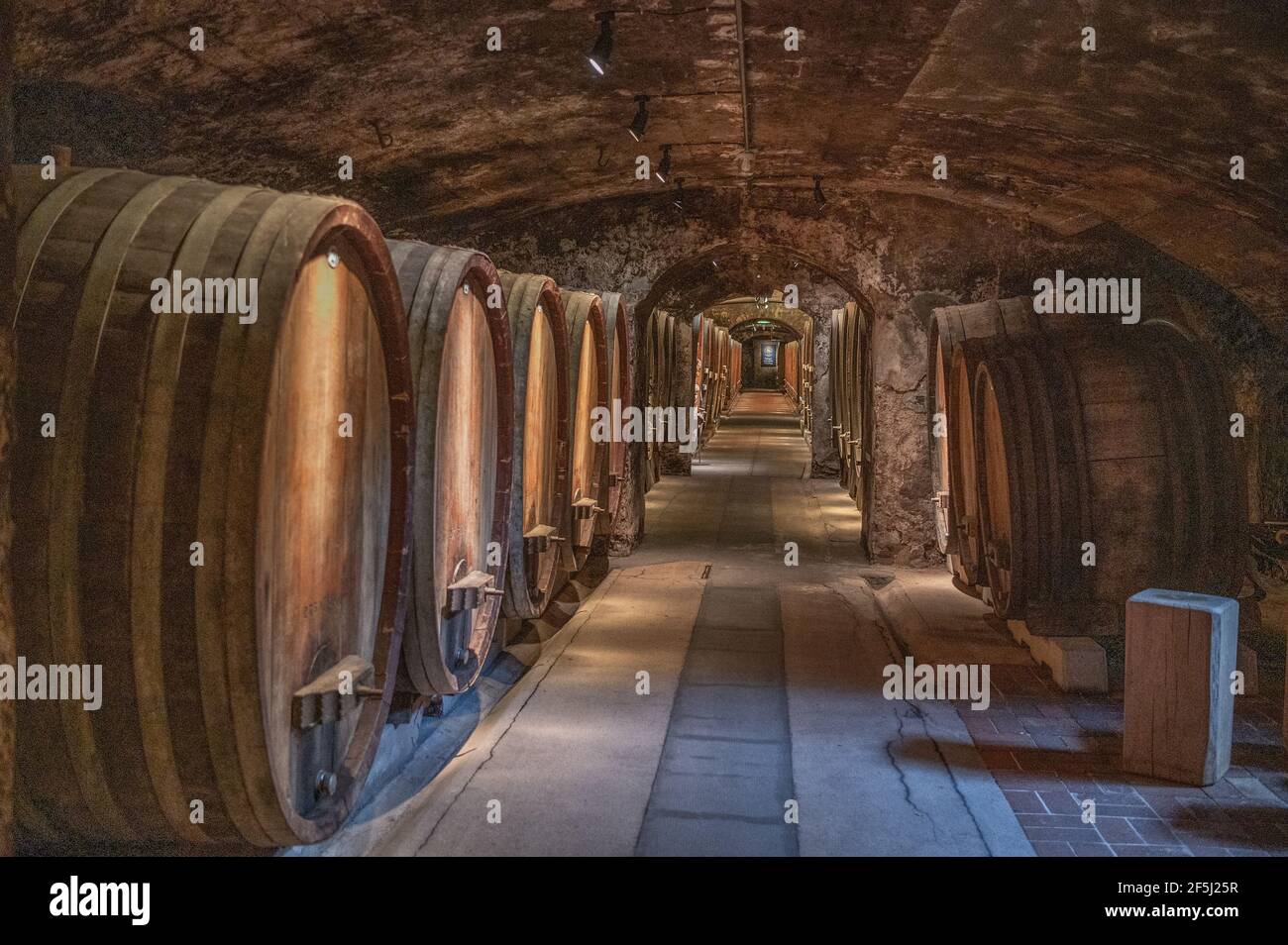 Cave en fût de la cave Juliusspital, Würzburg, Allemagne Banque D'Images