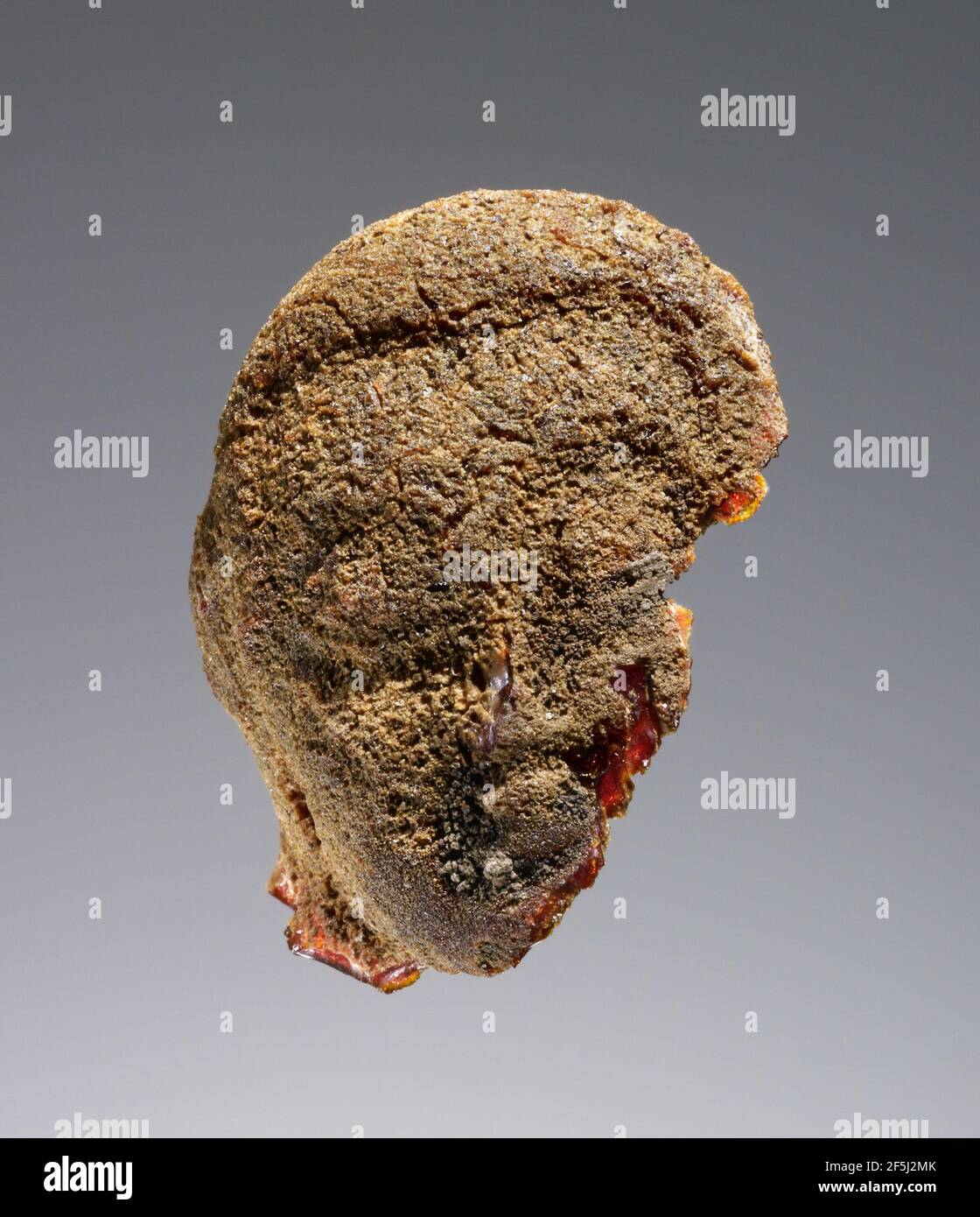 Pendentif : fragment de tête d'une figure femelle debout (Kore). Inconnu Banque D'Images