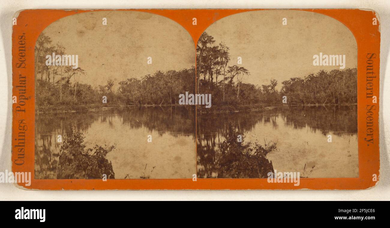 Silver Spring, rivière Ocklakaha. Floride. W.H. Cushing (américain, actif des années 1870 à 1880) Banque D'Images