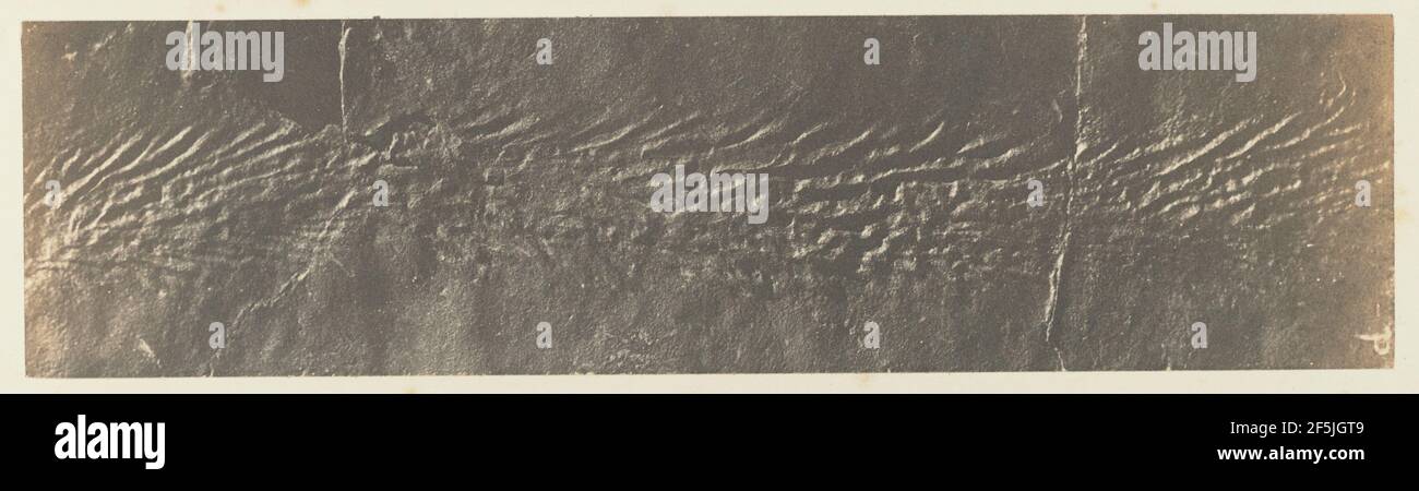 Tôle 44. Figure A. Inconnu Banque D'Images