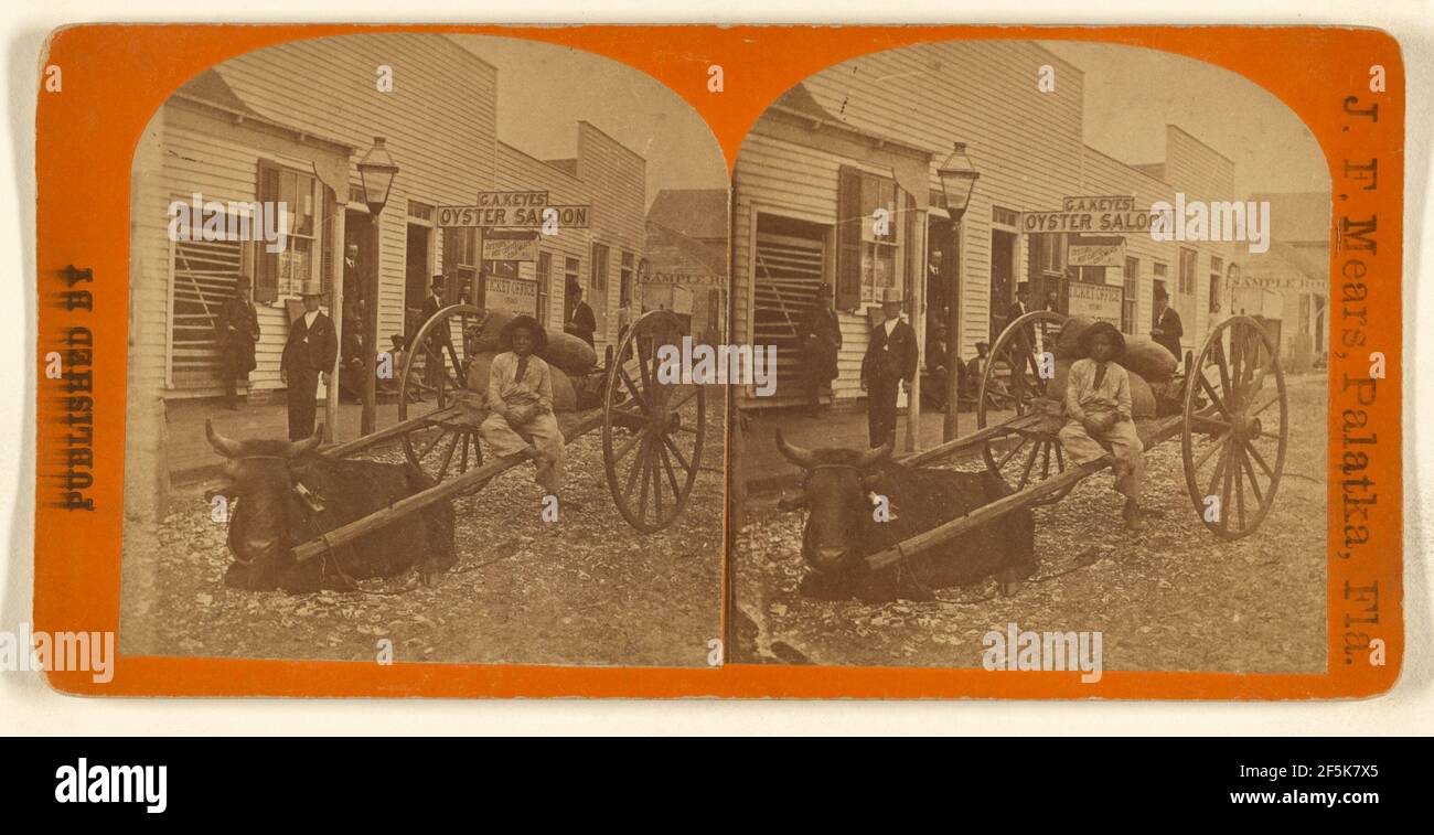 Lightning Express. J.F. Mears (américain, actif dans les années 1870) Banque D'Images