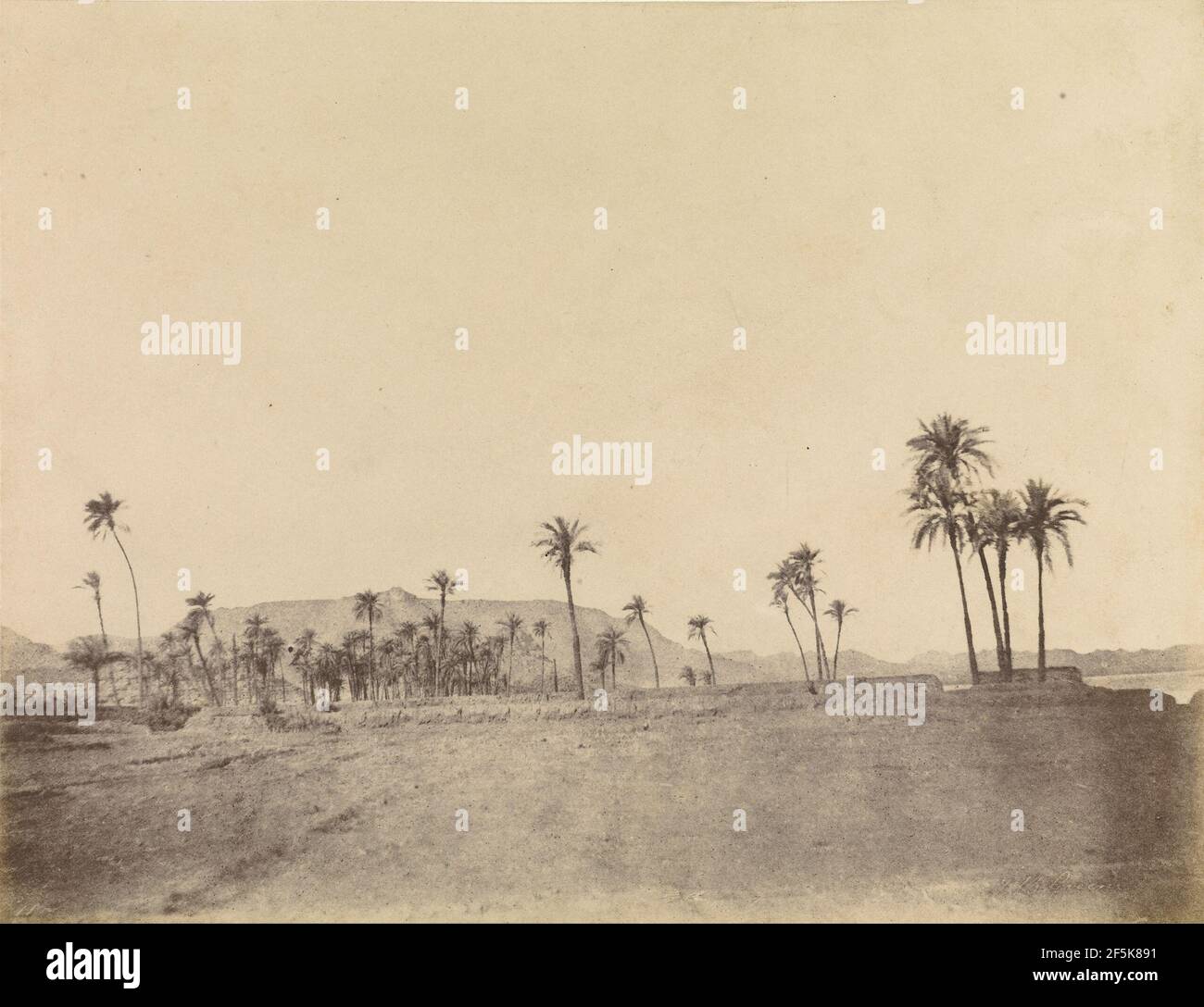 Etude de niveaux de données. John Beasley Greene (américain, né en France, 1832 - 1856) Banque D'Images