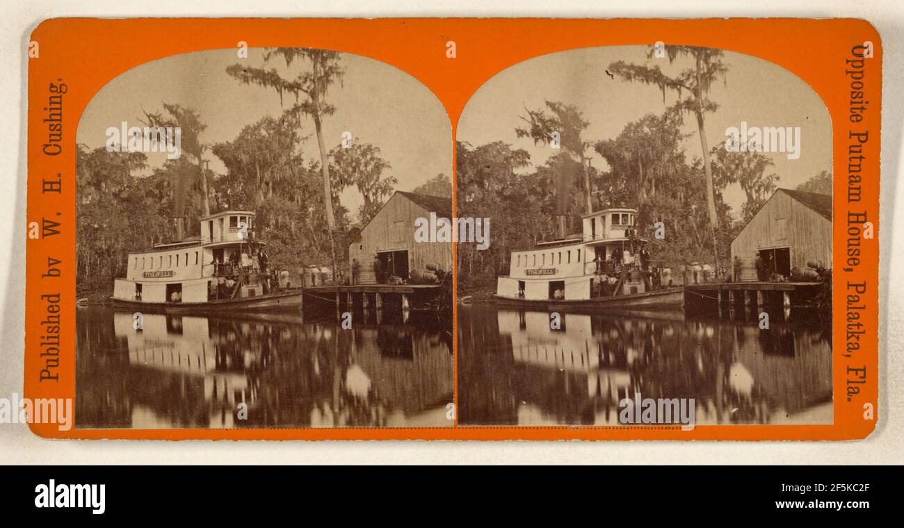 Silver Spring, près de Palatka, Floride. W.H. Cushing (américain, actif des années 1870 à 1880) Banque D'Images