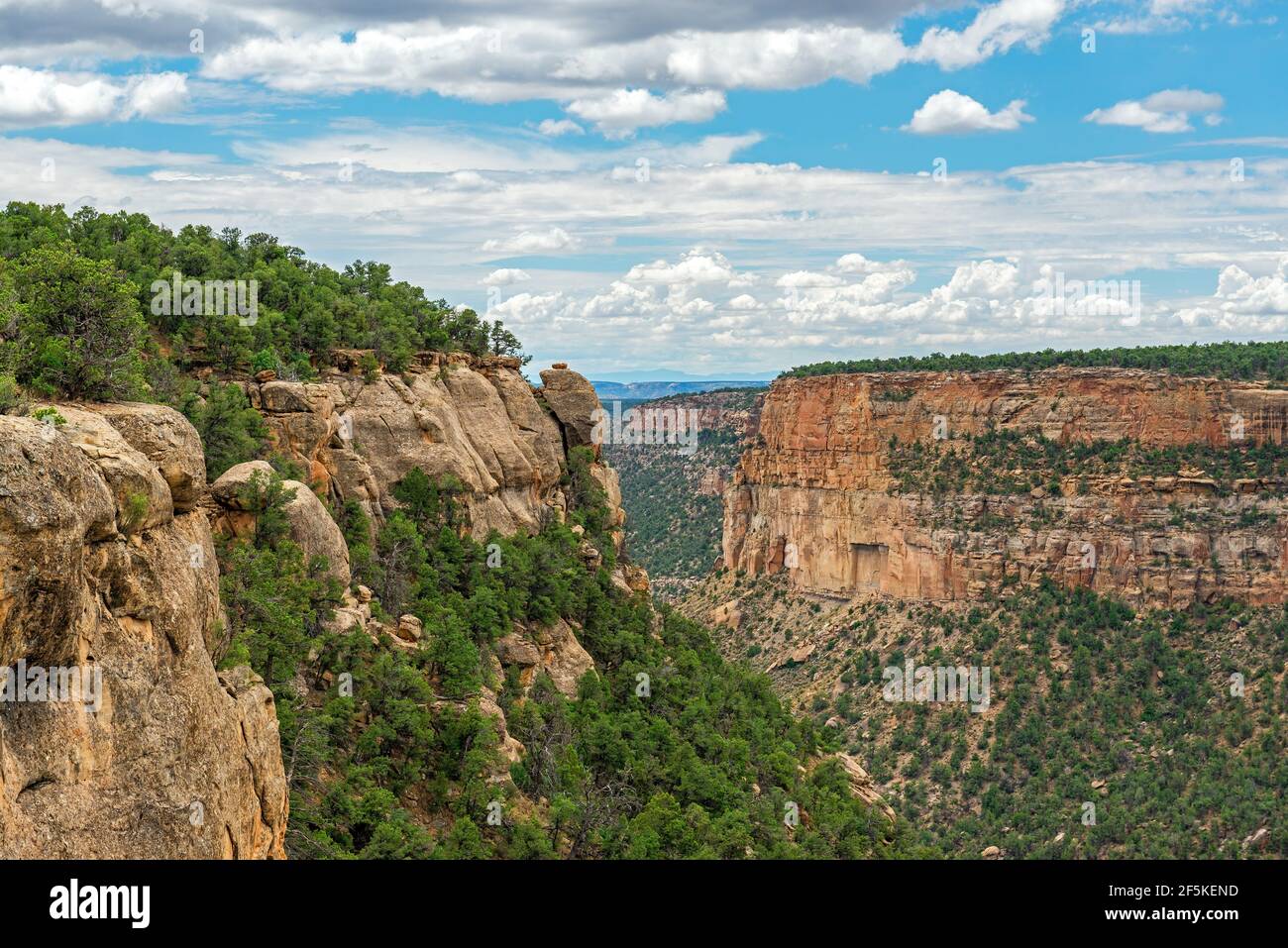 Paysage aérien du canyon, parc national de Mesa Verde, Colorado, États-Unis d'Amérique. Banque D'Images