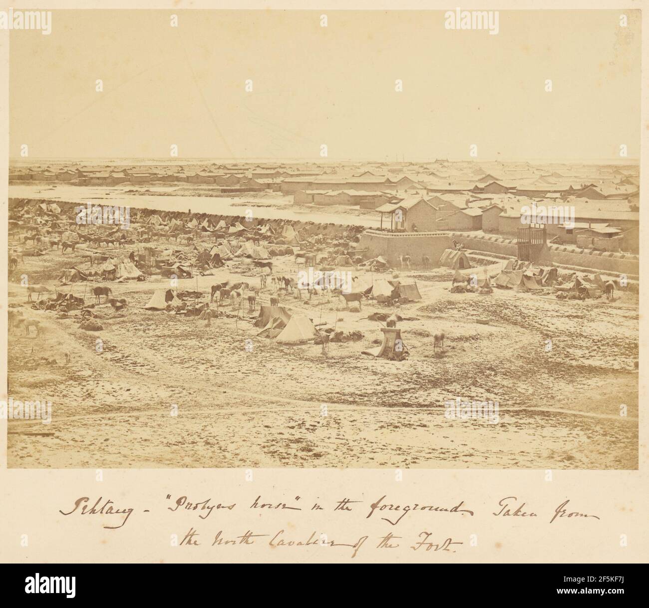 Pehtang, 'Probyn's Horse', dans le champ de l'avant-plan. Felice Beato (anglais, né en Italie, 1832 - 1909) Banque D'Images