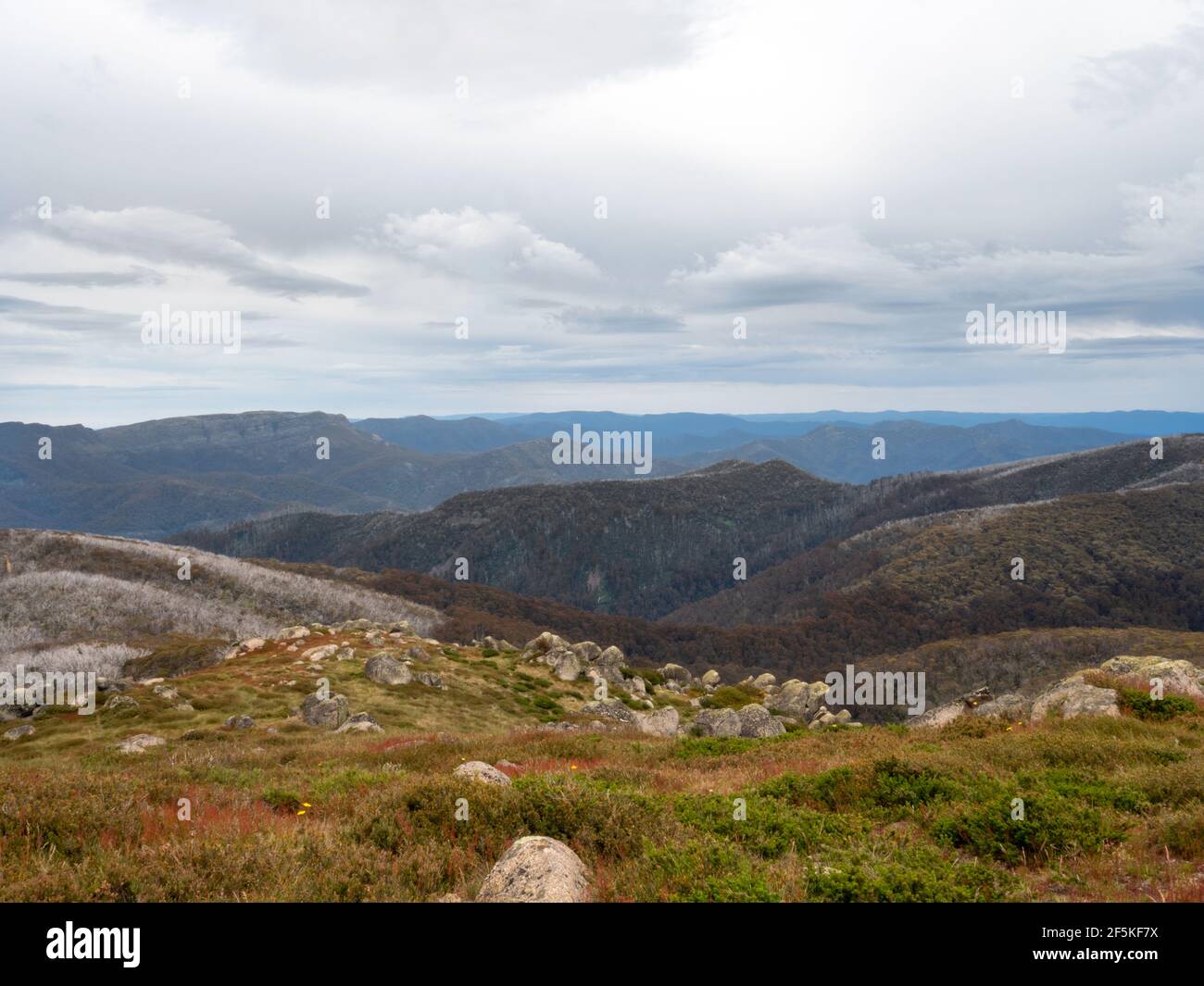 Le sentier de randonnée The View from Mount Stirling Loop, sur la Great Dividing Range, Victoria, Australie Banque D'Images