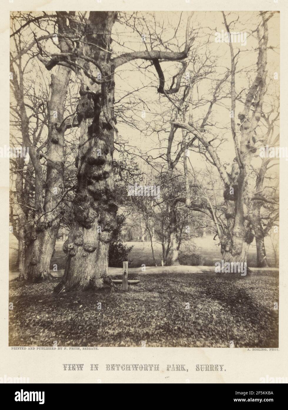 Vue à Betchworth Park, Surrey. Alfred Rosling (Grande-Bretagne, 1802 - 1880) Banque D'Images