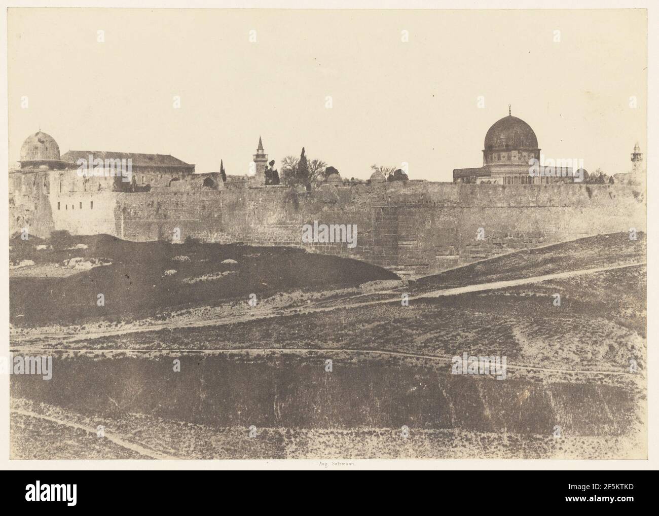 Jérusalem. Enceinte du Temple. Vue générale de la face Sud 2. Banque D'Images