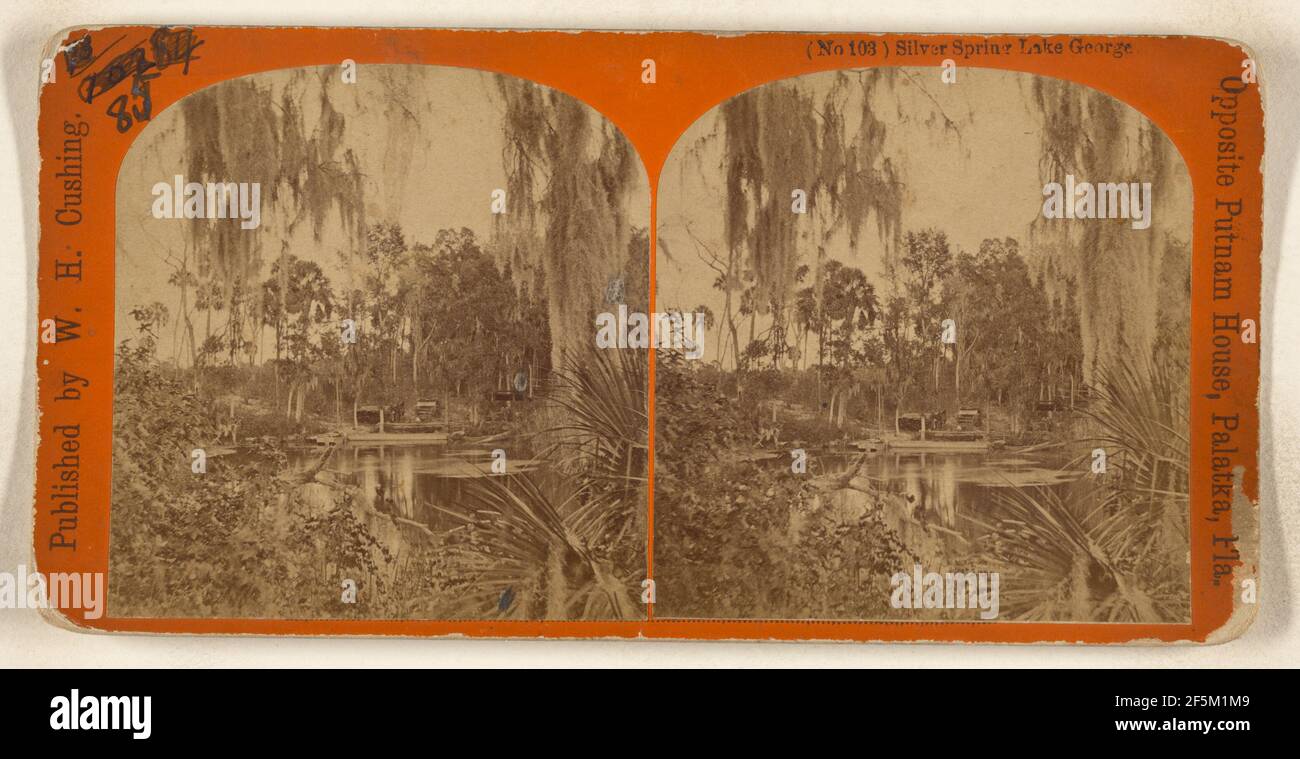 Silver Spring Lake George Floride. W.H. Cushing (américain, actif des années 1870 à 1880) Banque D'Images