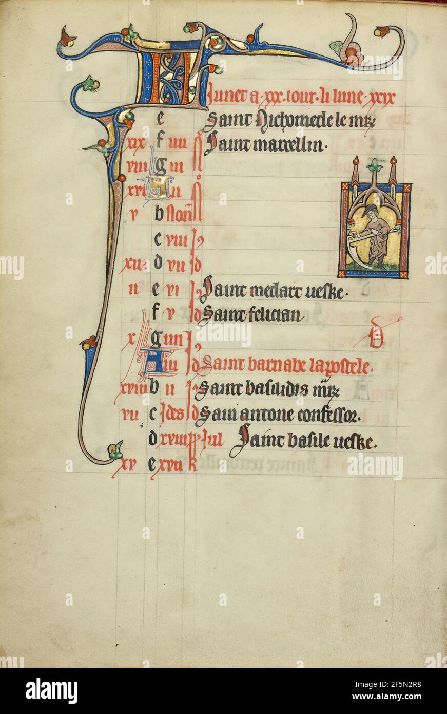 Page du calendrier pour juin; semis. Inconnu Banque D'Images