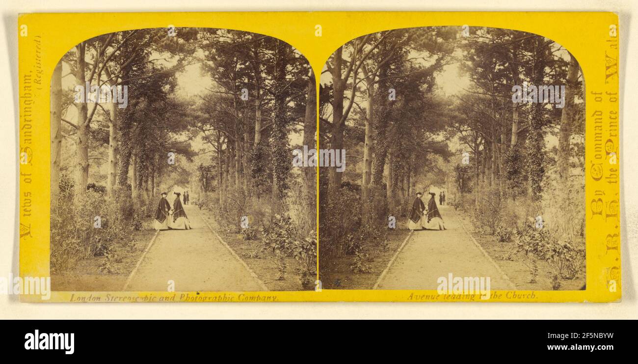 Avenue menant à l'église. Sandringham, Angleterre. London Stereoscopic Company (actif 1854 - 1890) Banque D'Images