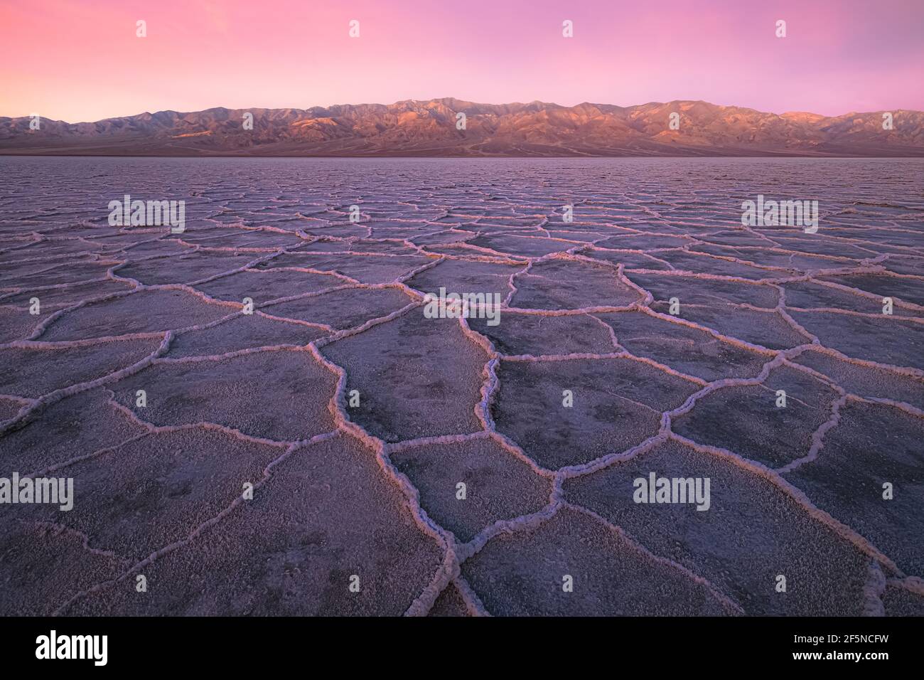Magnifique paysage et texture halite de Badwater Basin Salt s'évase sous un coucher de soleil coloré et vibrant ou un ciel rose de lever de soleil à Death Valley N Banque D'Images