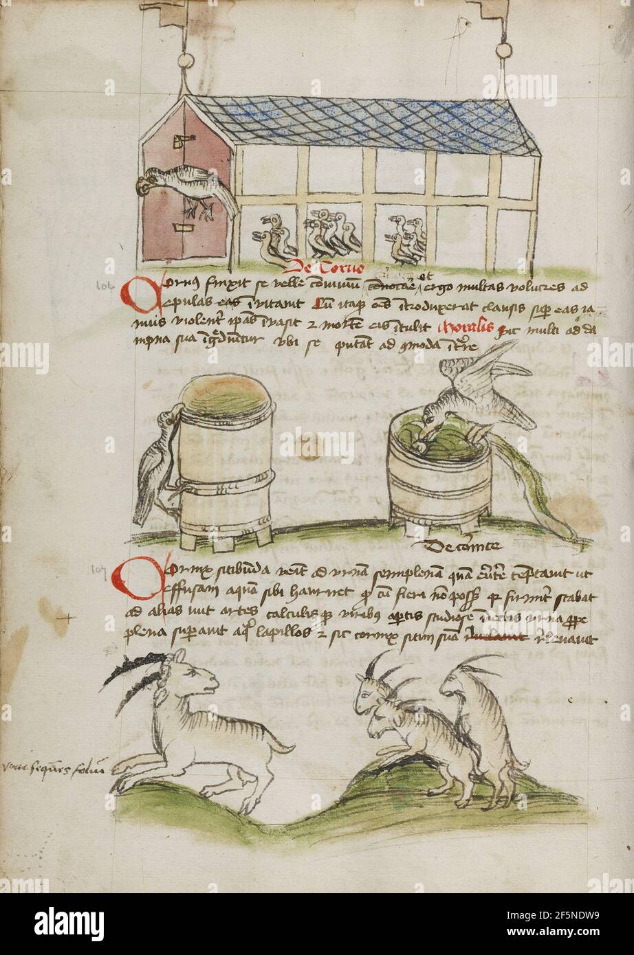 Un oiseau devant une porte d'une maison avec plusieurs petits oiseaux; UN Nid-de-Corbeau perché sur le bord d'un navire; plusieurs Rams. Inconnu Banque D'Images