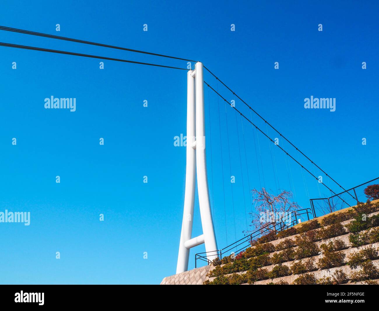 Belle passerelle Mishima avec ciel bleu au japon Banque D'Images