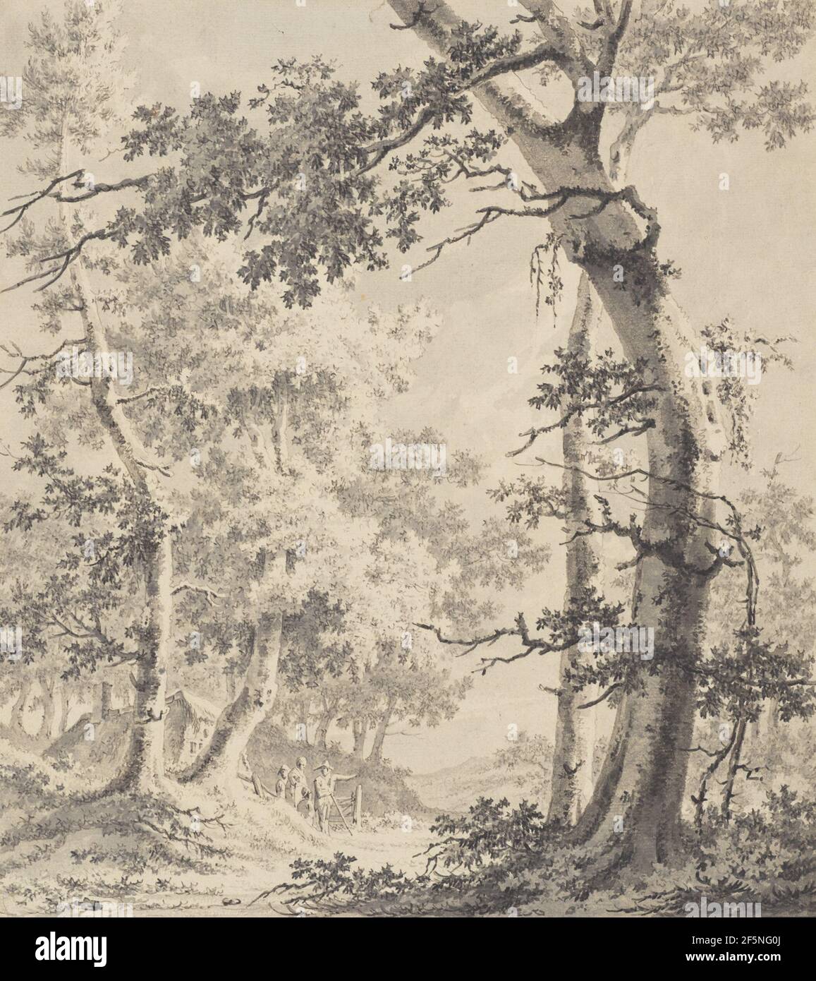 Paysage boisé. Paulus van Liender (néerlandais, 1731 - 1797) Banque D'Images