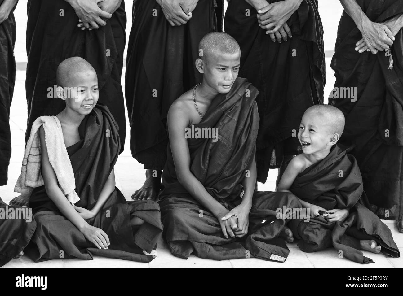 Les moines novices à la pagode Shwedagon, Yangon, Myanmar. Banque D'Images