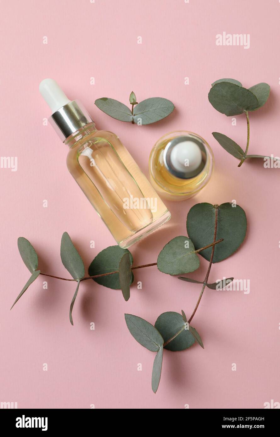 Bouteilles d'huile d'eucalyptus et brindilles sur fond rose Banque D'Images