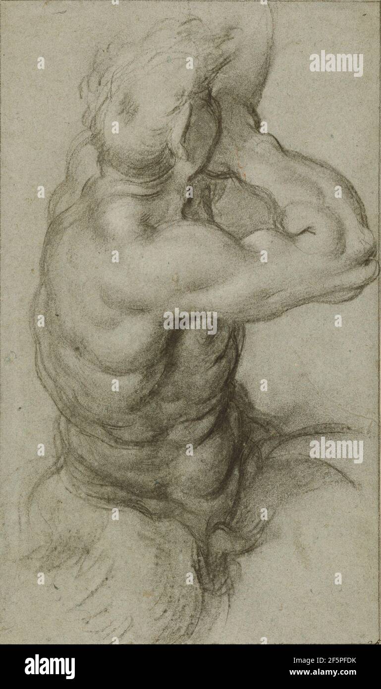 Etude de Triton Blowing a Conch Shell (recto) ; Etude partielle d'un bras (verso). Annibale Carracci (italien, 1560 - 1609) Banque D'Images